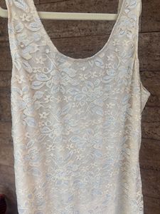 Beige and Silver net dress