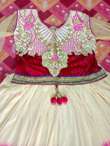 Elegant Ethnic Gown for Women