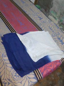 Blue and White Ombre Dupatta