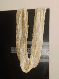 Elegant Cream Dupatta