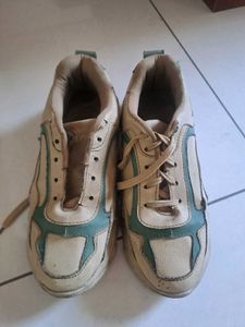 Men's Beige &amp; Teal Sneakers