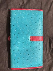 Turquoise Ostrich Embossed Clutch Pouch