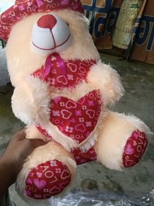 Cute Teddy Bear with Heart Hat