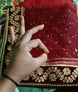 Red Embroidered  Dupatta with Heavy Border