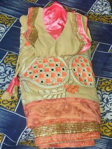 Elegant Indian Sari