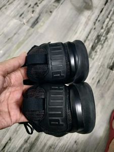 Puma Sports Shoes