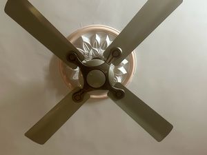 Havells And Orient Fan