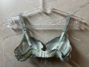 Floral Embroidered Underwire Padded Bra