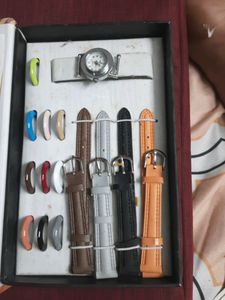 Watch with Interchangeable Bands