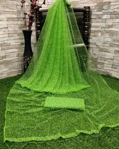 Like New Party Wear Net Saree With Blouse