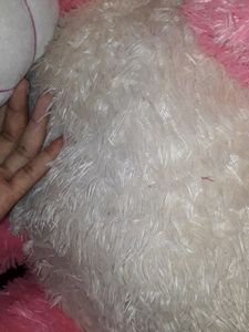 Huge Big Teddy