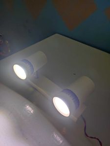 Adjustable Wall Spotlight