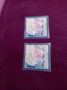 New but without tag( Reversible ) Table Mat