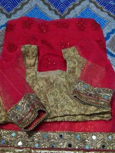 Beautiful Embroidered Net Saree