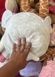 Squishmallows NWT Mila the Elephant 8" |