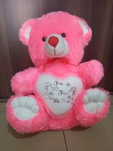 Pink 🩷 Super Soft Teddy