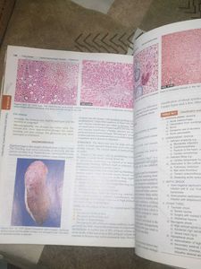 Essential Pathology for Dental Students