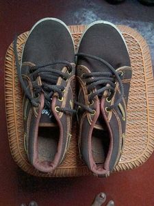Men's Casual Brown Shoes
