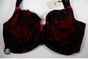Very Sexy And Beautiful Net Bra Penty