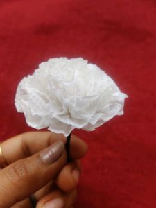 Hair Brooches