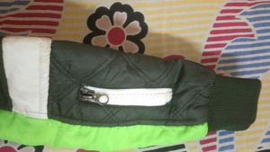 Green Puffer Hoodie Jacket Coat For Kids