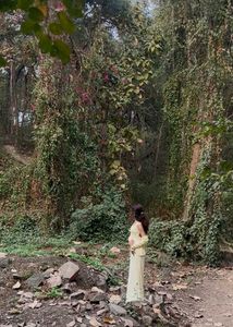 Elegant Pastel Ethnic Gown