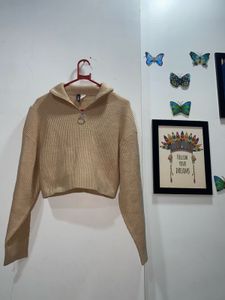 Beige Cropped Knit Sweater