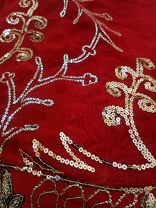 Stunning Red Saree with Sequins