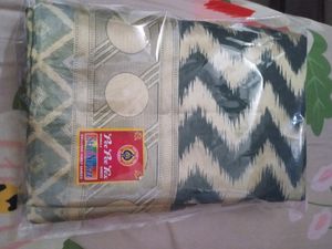 Organza Saree