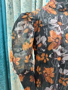 Puffed Sleeve Organza Top