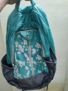 Skybags Pogo 32 Ltrs Green School Backpack(BPPOGO4