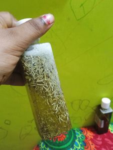 Homemade Rosemary Essential Oil