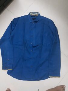 Royal Blue Men's