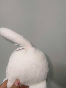 Cute Cat Plush Toy