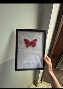 appias nero The Butterfly artifact