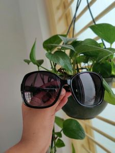 Vision Express Women's sunglasses