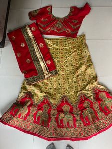 Elegant Red & Gold Lehenga Choli Set