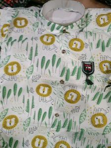 Cute Lion Print Shirt for Boys
