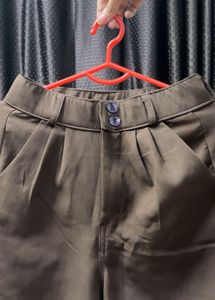 Stylish Brown Pleated Pants