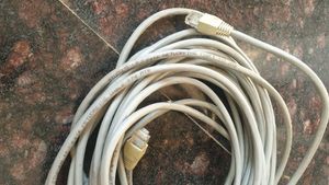 Ethernet Cable - Network Connectivity