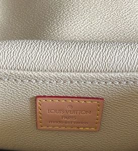 Louis Vuitton Monogram Vanity