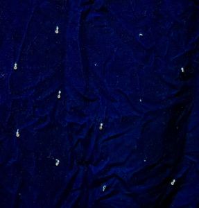 Velvet desi top