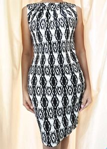 Imported Snake print Bodycon Dress