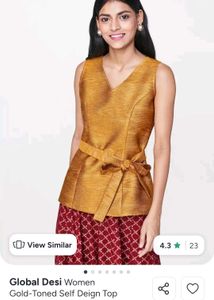 Global Desi Gold-Toned Ethnic Top