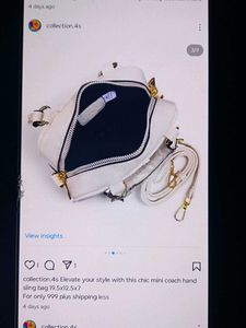 Chic Mini Coach