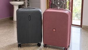 Set of 2 Stylish Luggage Bags