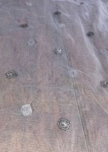 sequins Tulle Dupatta(pack of 2)