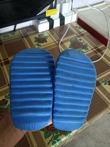 Cute Blue Bear Clogs