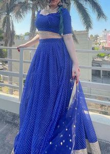 Blue Striped Lehenga with Embellished Border