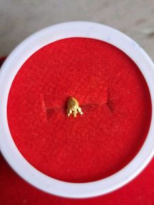 Elegant Gold Nose Pin